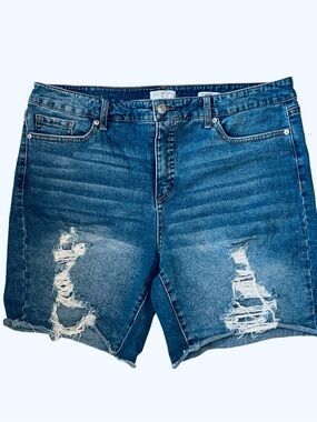 Sofia High-Rise Distressed Denim Shorts - Blue